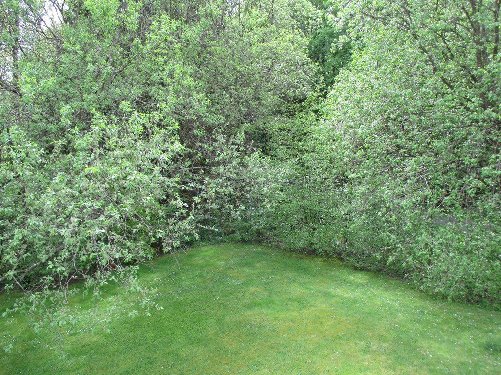 Ferienwohnung An Der Lay Bach (Westerwald) Exterior foto